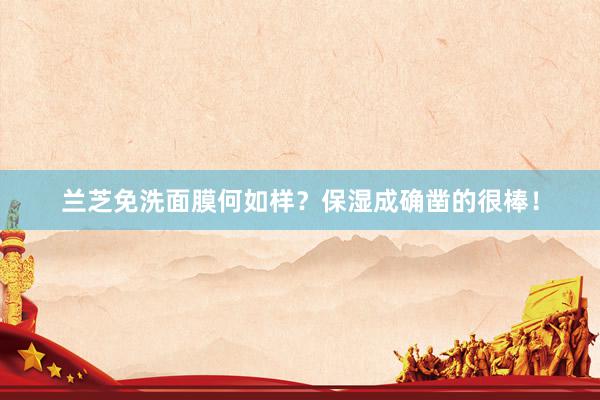 兰芝免洗面膜何如样？保湿成确凿的很棒！